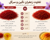 تفاوت زعفران نگین و سرگل