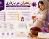 زعفران در بارداری